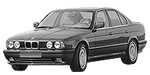 BMW E34 P2482 Fault Code